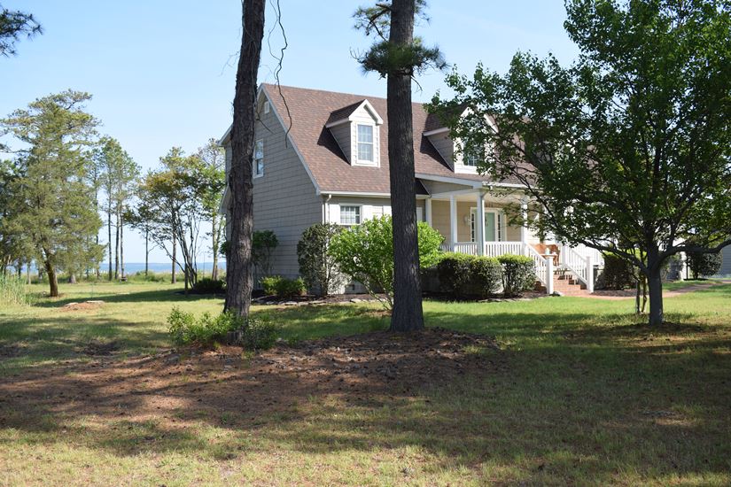 Vineyard Cove