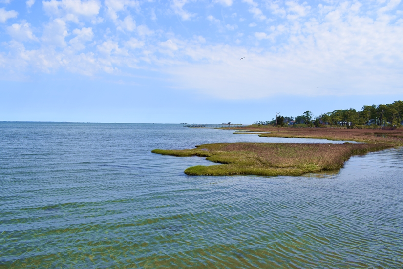 Vineyard Cove